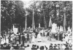 Sección de historia